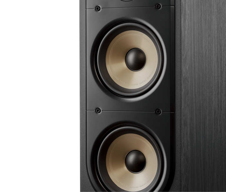 Signature Elite ES50, Black, dynamic