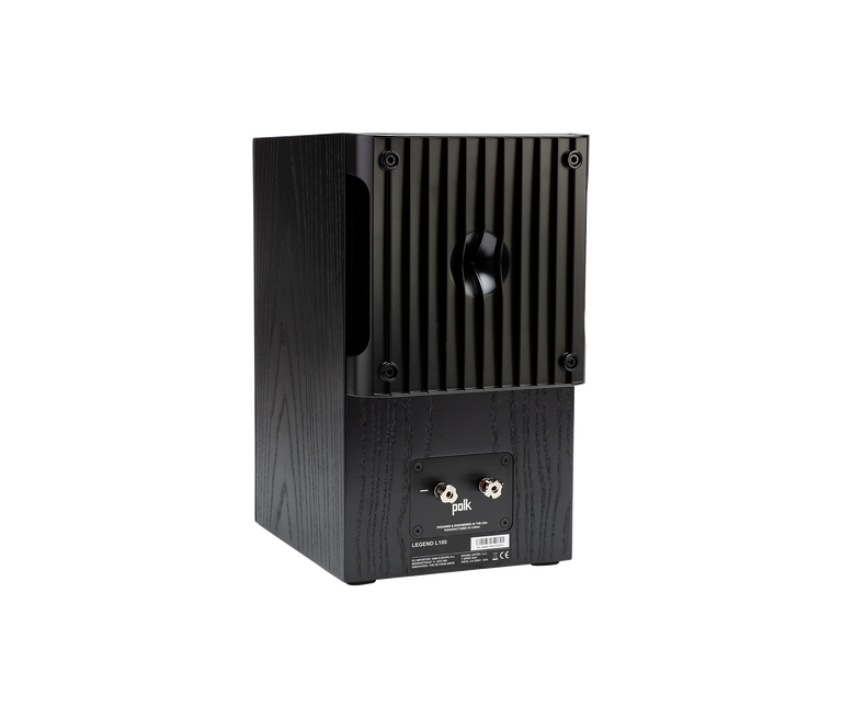 Legend L100, Black, dynamic